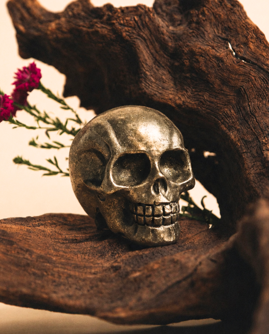 Pyrite Skull