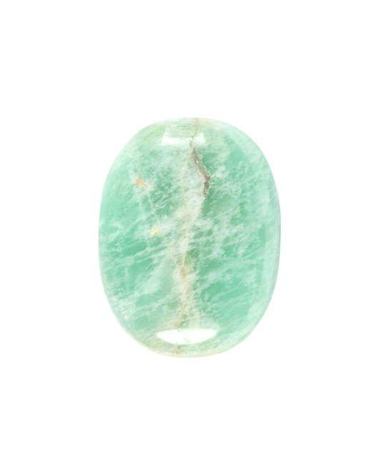 Amazonite Palm Stone