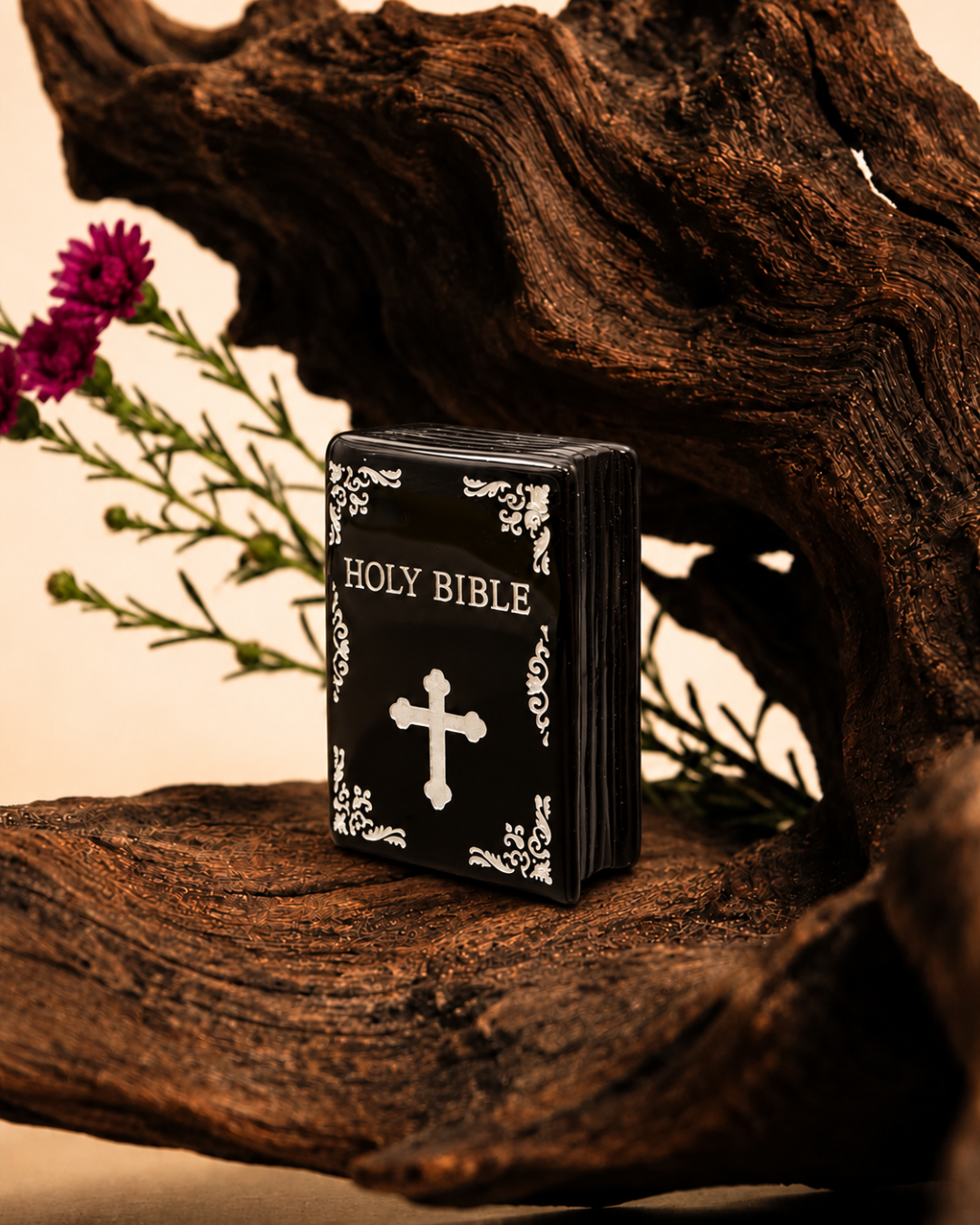Onyx Bible
